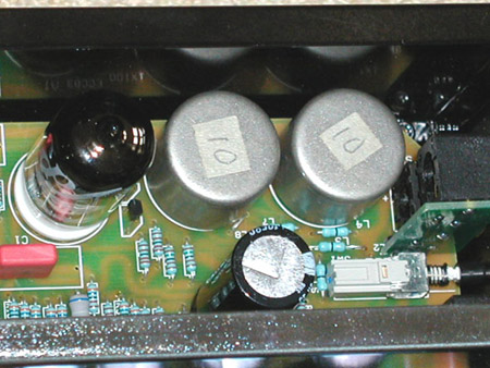 ear_220606_600_6.jpg