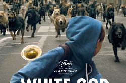 White God dvd White God dvd