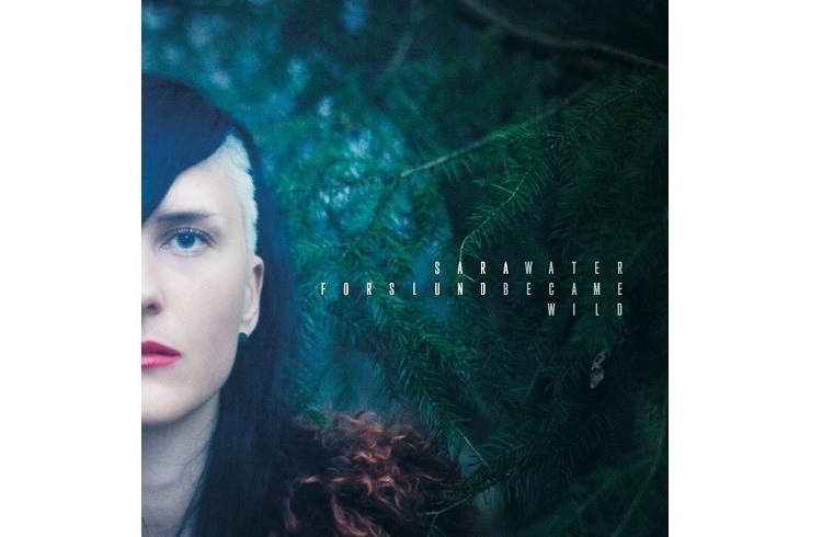Sara Forslund Water Became Wild (cd) Sara Forslund Water Became Wild (cd)