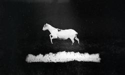 les-discrets-cd-recensie.jpg les-discrets-cd-recensie.jpg