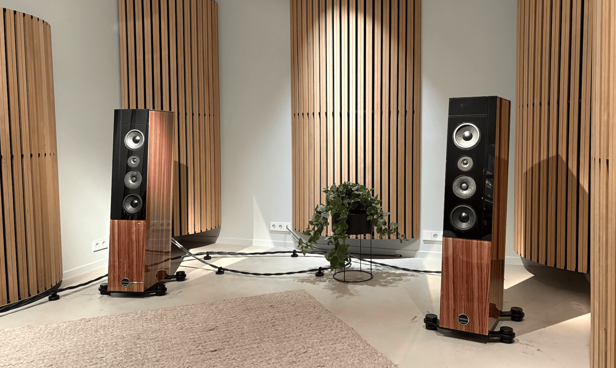 Audio Physic Cardeas bij The Hifi Studio_9 Audio Physic Cardeas bij The Hifi Studio_9